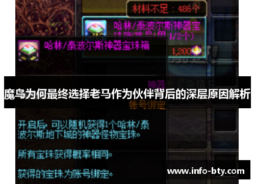 魔鸟为何最终选择老马作为伙伴背后的深层原因解析